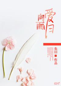 向愛而歸
