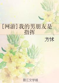 [網游]我的男朋友是指揮