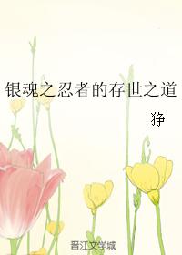 銀魂之忍者的存世之道