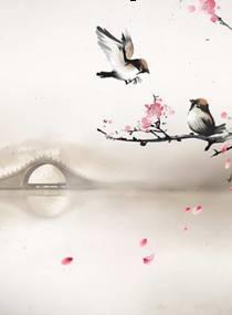 緣定千年之九熙天下