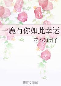 晨鹿夫婦的日常