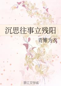 沉思往事立殘陽