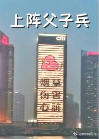 （全職高手）上陣父子兵