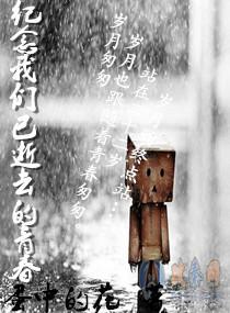 紀念我們已逝去的青春