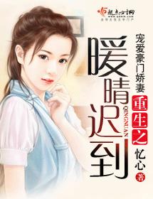 重生之暖晴遲到