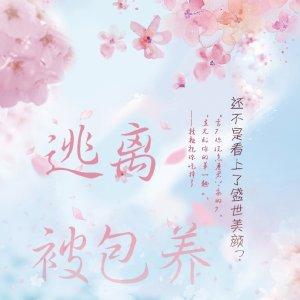 逃離被包養[快穿]