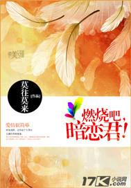 燃燒吧，暗戀君！