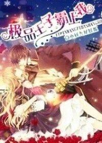 極品王子霸上我