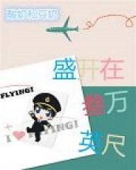 盛開在叁萬英尺