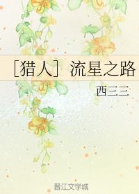 ［獵人］流星之路