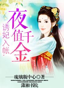 誘妃入帳，夜值千金