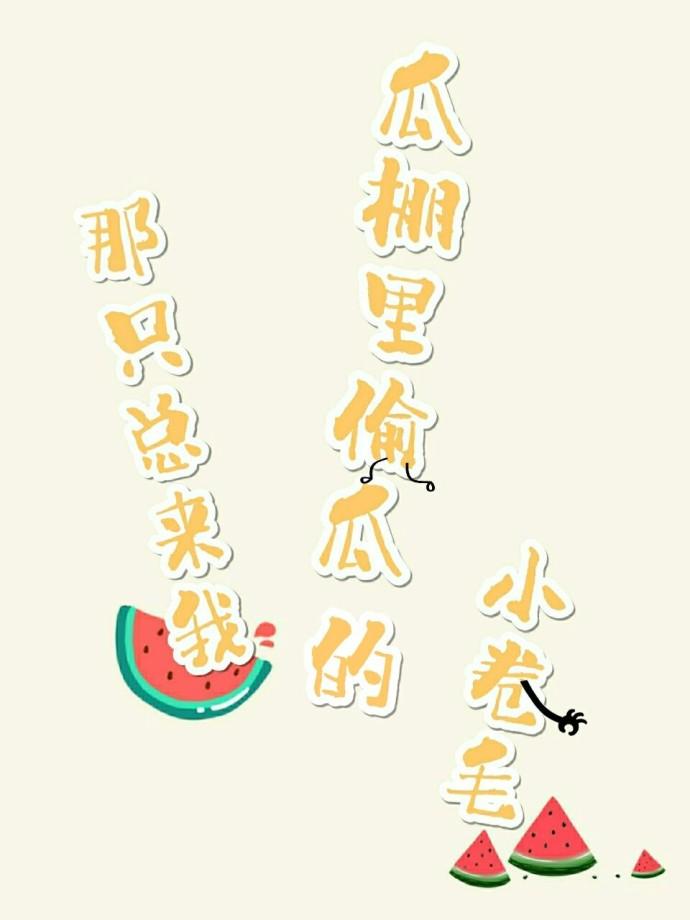 那只總來我瓜棚裏偷瓜的小卷毛