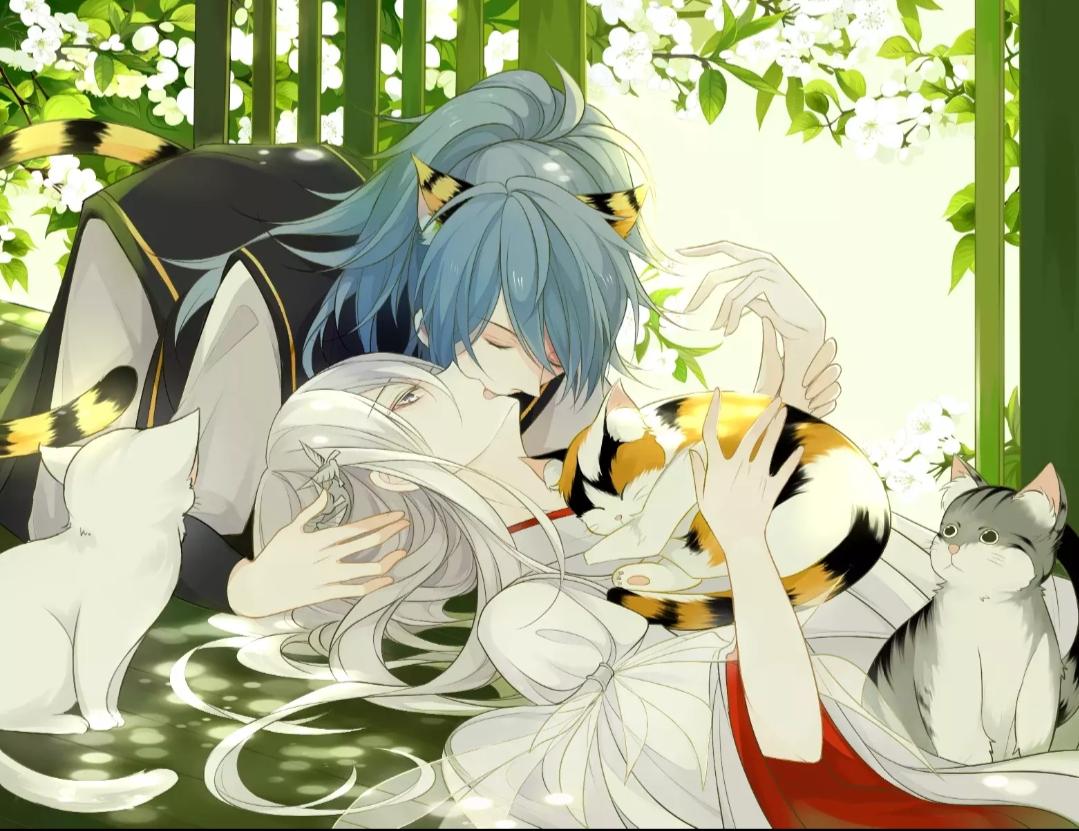 【信白】國家老婆包分配