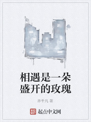 相遇是一朵盛開的玫瑰