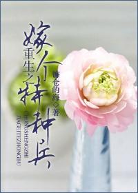 重生之嫁個特種兵