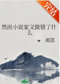 然而小說家又做錯了什麽
