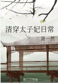 清穿太子妃日常