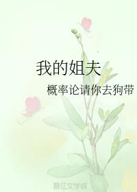 我的姐夫