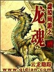虛拟網游之龍魂