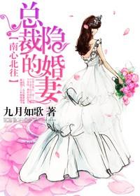 南心北往，總裁的隐婚妻