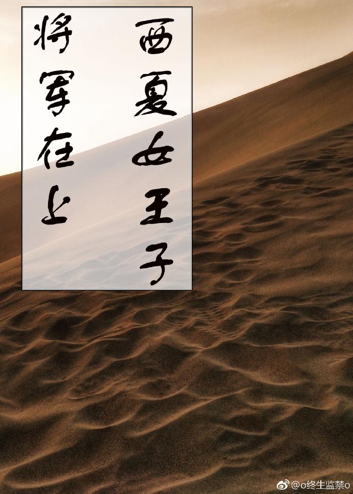 将軍在上 西夏女王子