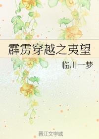 霹靂穿越之夷望