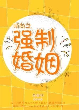 哨向之強制婚姻