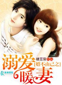 婚不由己之溺愛暖妻