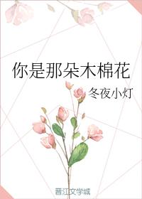 你是那朵木棉花