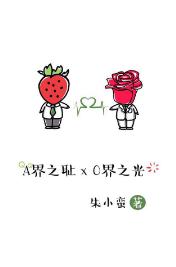 A界之恥與O界之光