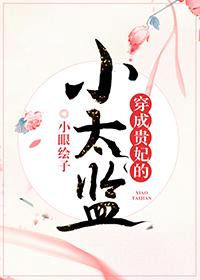 穿成貴妃的小太監