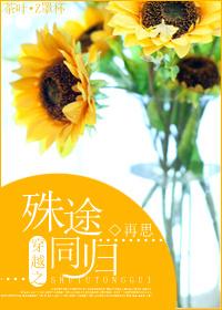 穿越之殊途同歸