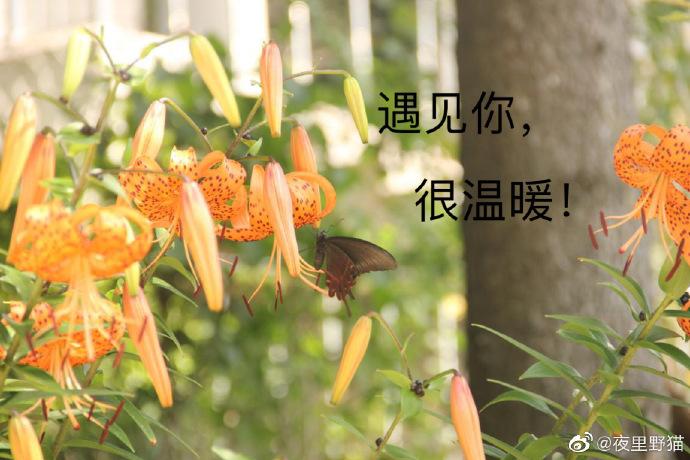 遇見你，很溫暖