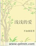 淺淺的愛