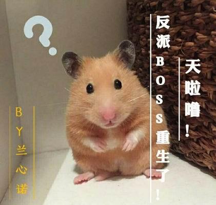 天啦嚕！反派BOSS重生了！