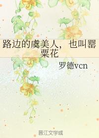 路邊的虞美人，也叫罂粟花