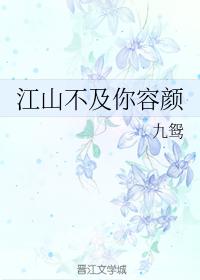 江山不及你容顏