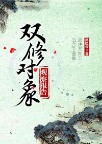 第一劍修觀察報告