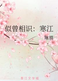 似曾相識：寒江