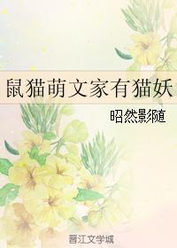 鼠貓萌文家有貓妖