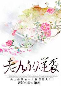 老九的逆襲