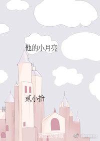 他的小月亮