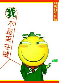 我真不是采花賊！gl