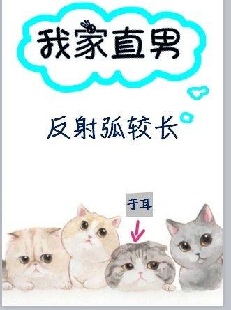 我家直男反射弧較長