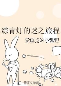 綜青燈的迷之旅程