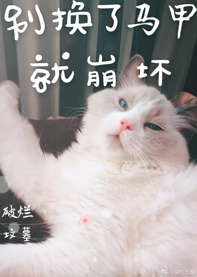 別換了馬甲就崩壞