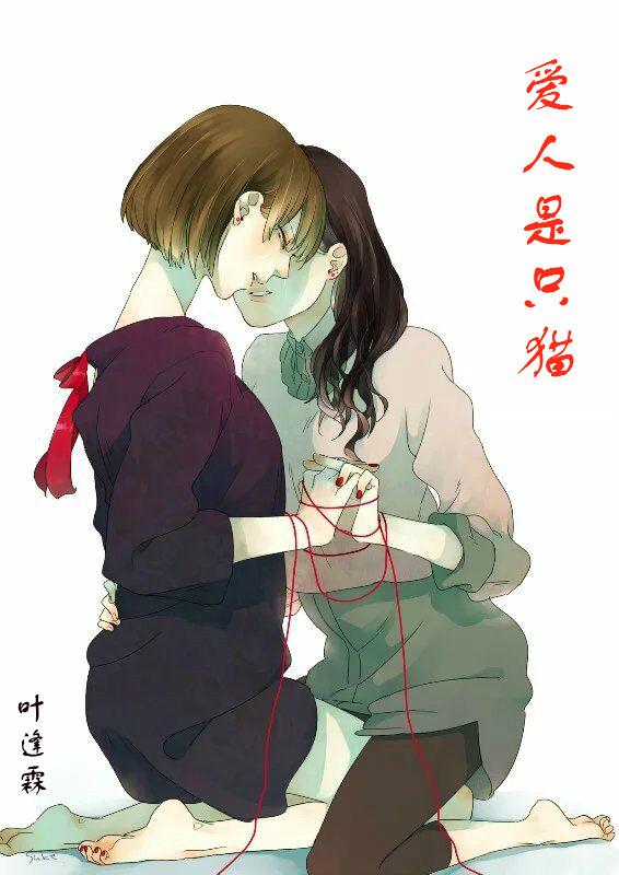 愛人是只貓
