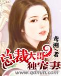 總裁大哥獨寵妻