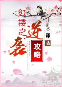 紅樓之逆襲攻略