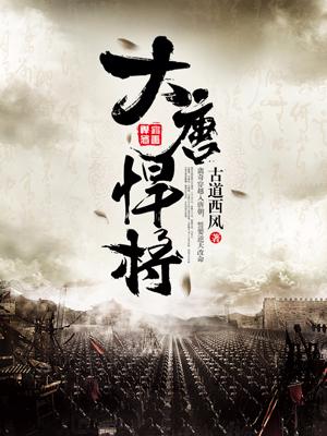 大唐悍将